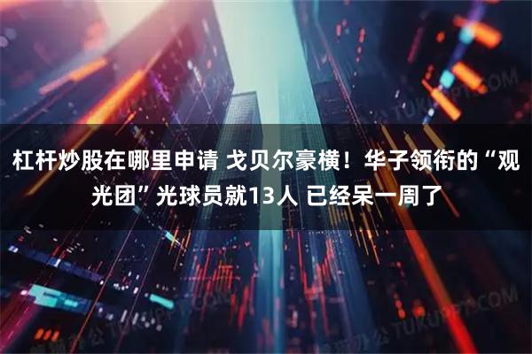 杠杆炒股在哪里申请 戈贝尔豪横！华子领衔的“观光团”光球员就13人 已经呆一周了