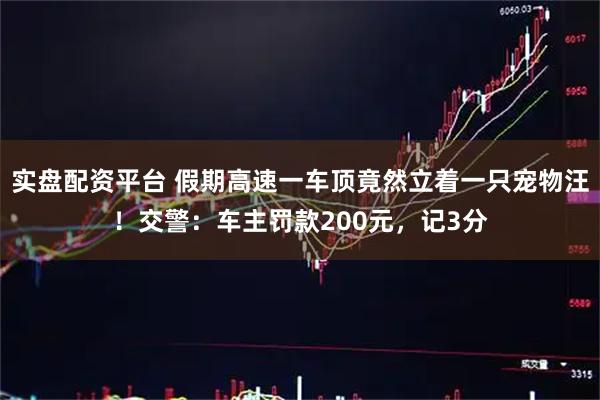 实盘配资平台 假期高速一车顶竟然立着一只宠物汪！交警：车主罚款200元，记3分